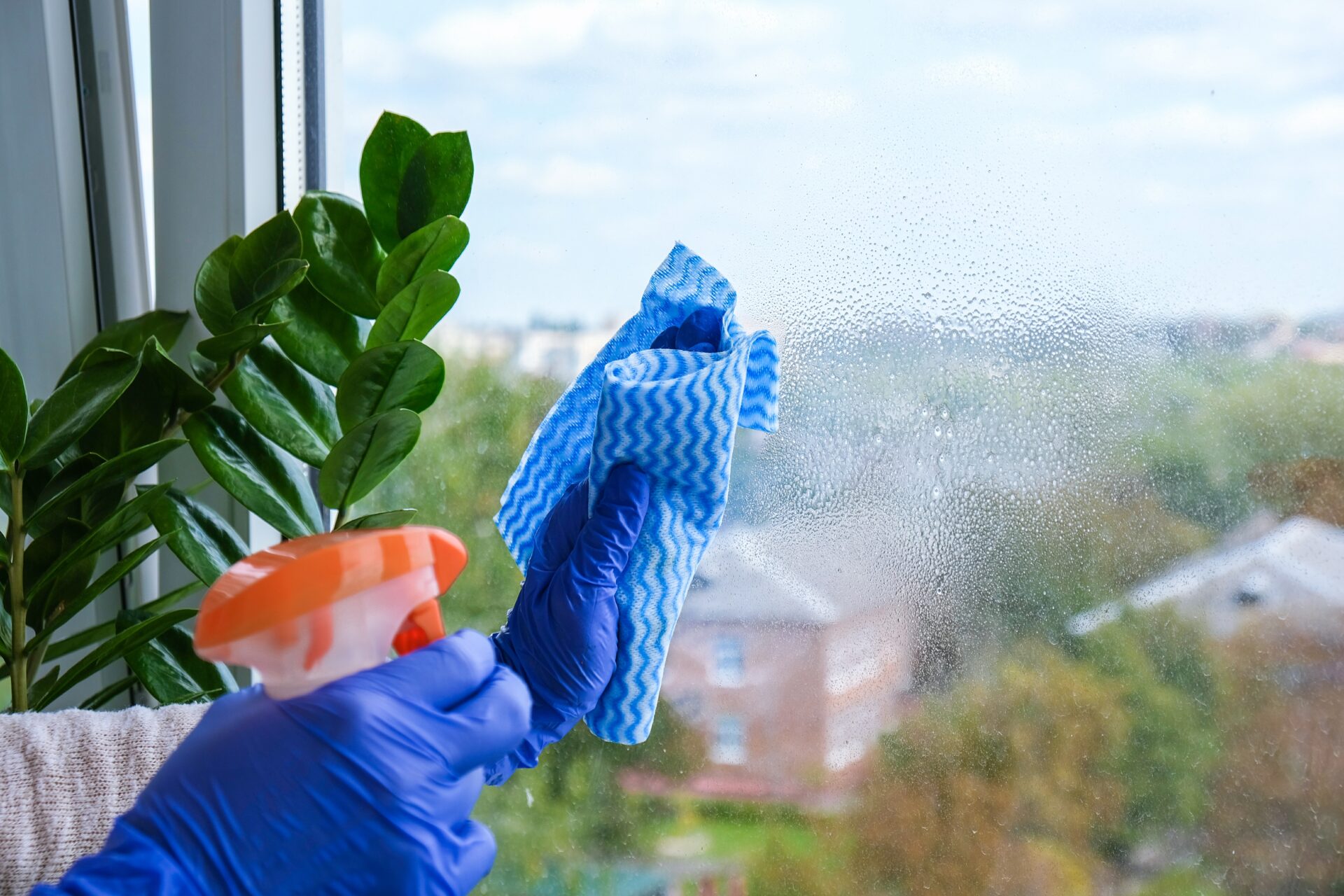 window-cleaning-inside-house